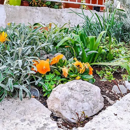 1 Appartement Podgora (Split-Dalmatia)